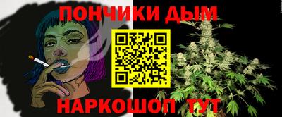 шишки Кинель