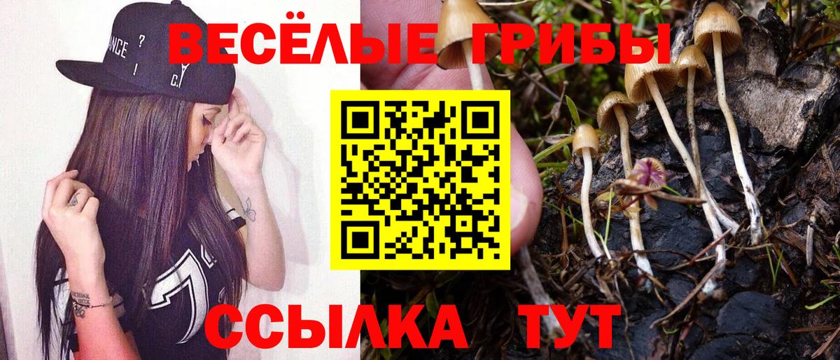 хочу   Галлюциногенные грибы Cubensis  Псилоцибиновые грибы Psilocybine cubensis  Вход с VPN  Краснодар 